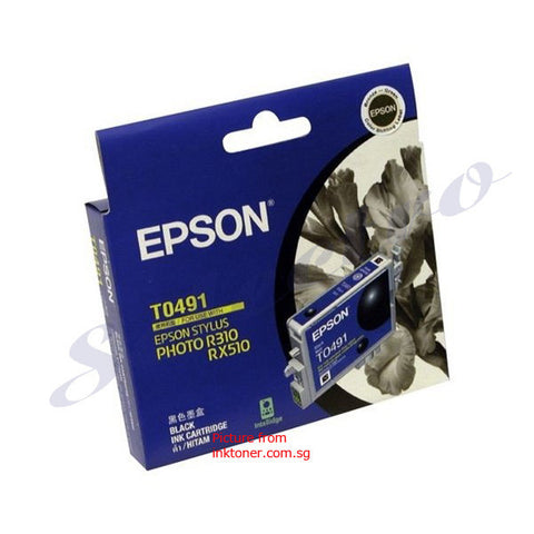 Epson Ink T0491 Black