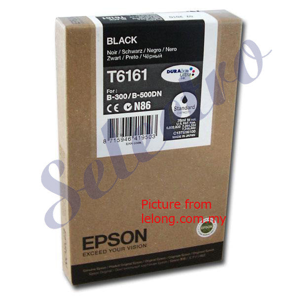 Epson Ink T6161 Black