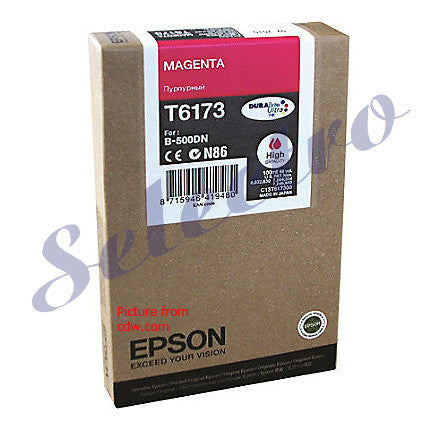 Epson Ink T6173 Magenta