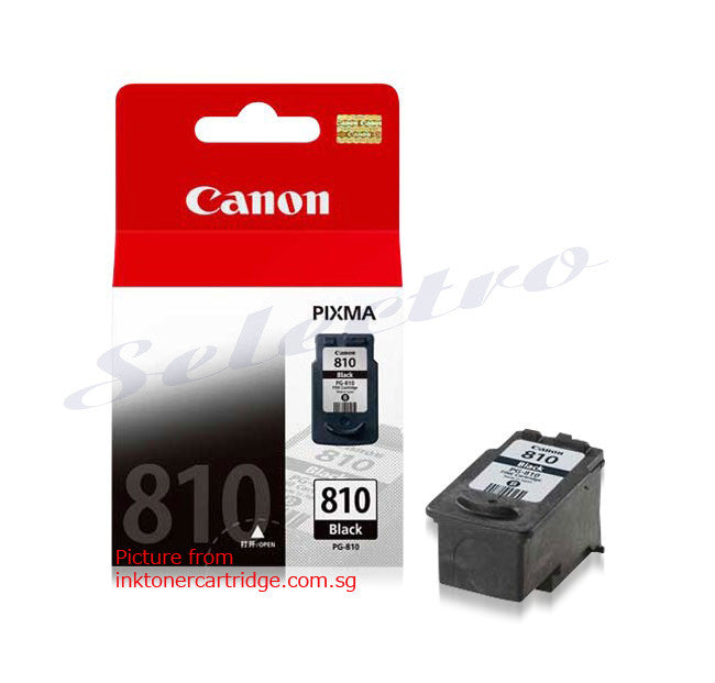 Canon Ink PG-810 Black